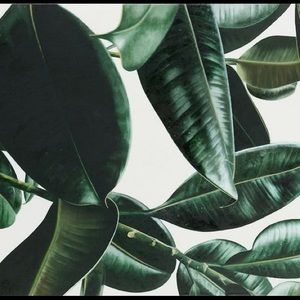 Meet your Posher, Aleks